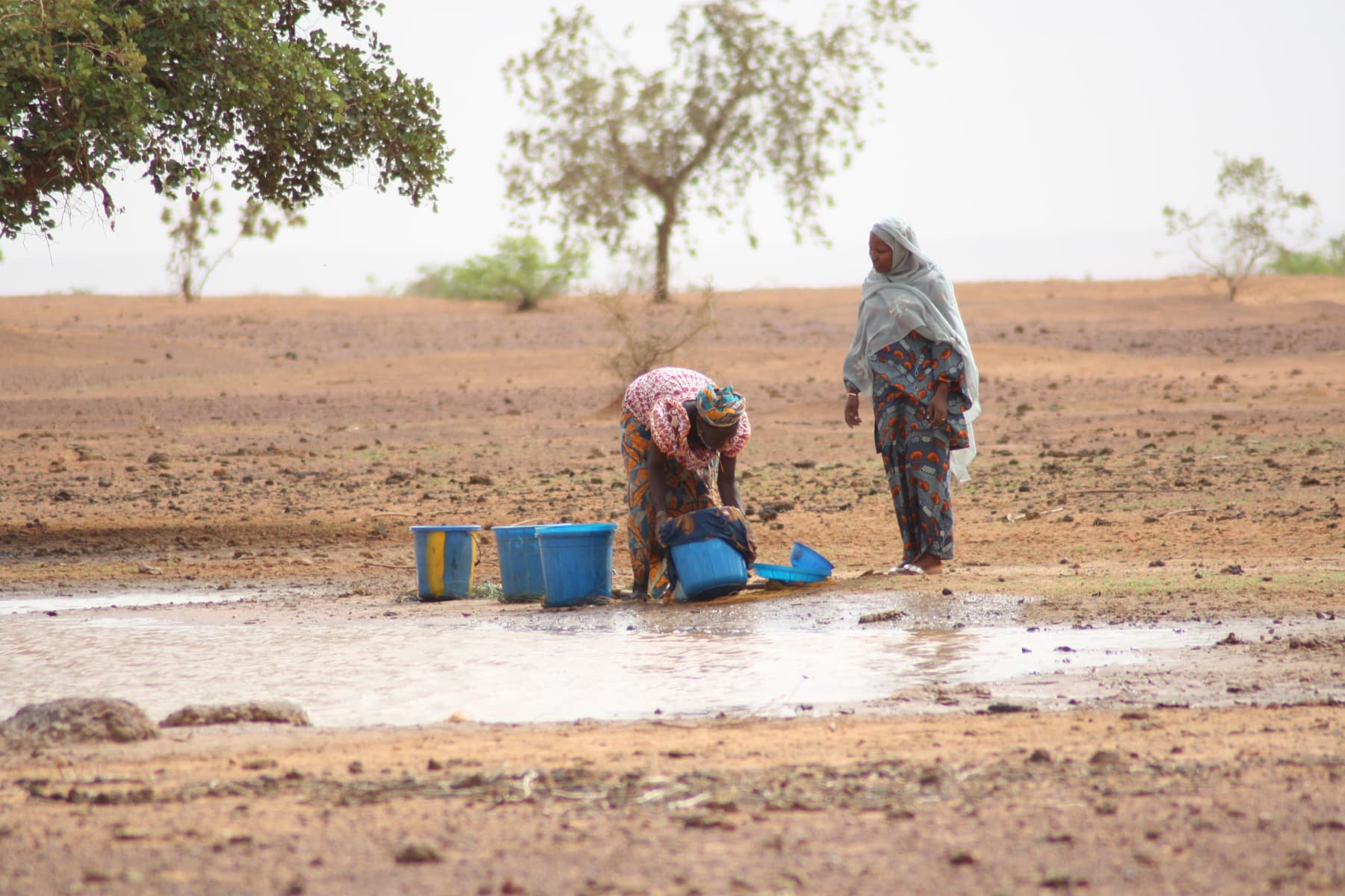 Women fill buckets with untreated water. Niger, 2010