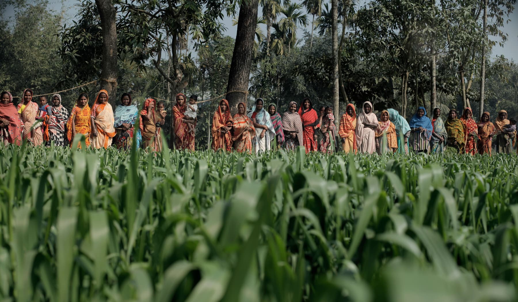 An Islamic Relief project providing sustainable livelihoods support to women, and community development. Bangladesh, 2012.