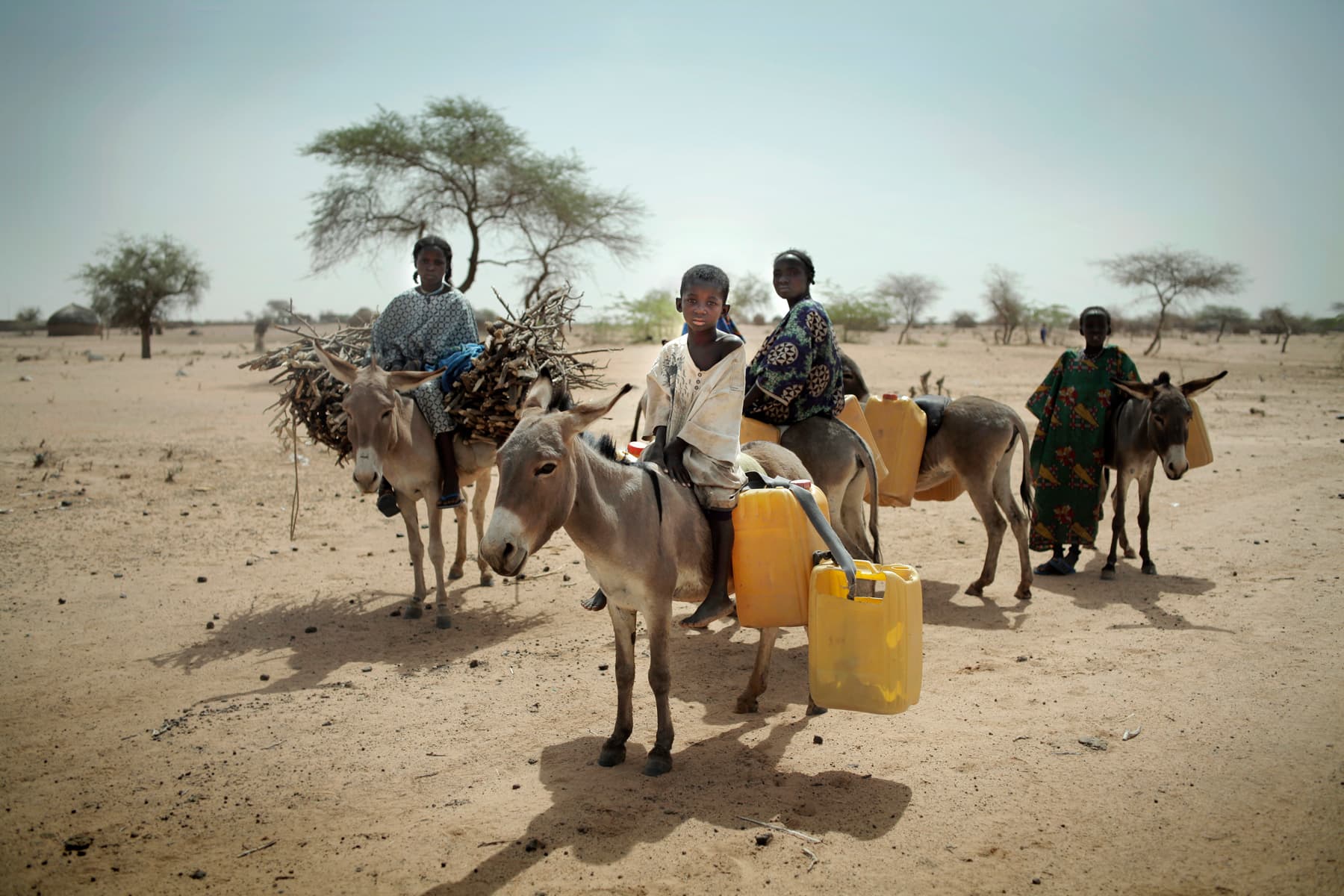 Young boys collecting wood and water during food security and nutrition crisis following from years of failed harvest due to the lack of rainfall. Niger, 2012.